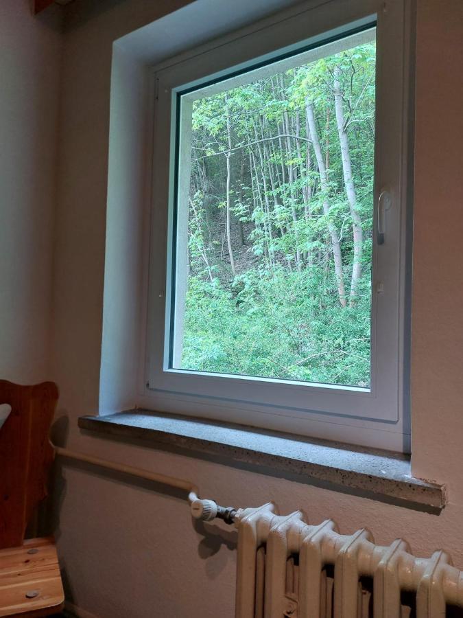 Pension Sternschnuppe, Treseburg Harz, Unmittelbar Am Wasser Thale Exteriér fotografie